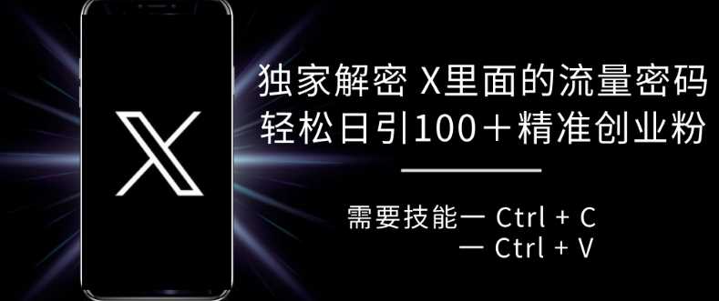 独家解密 X 里面的流量密码，复制粘贴轻松日引100+-玖哥网创