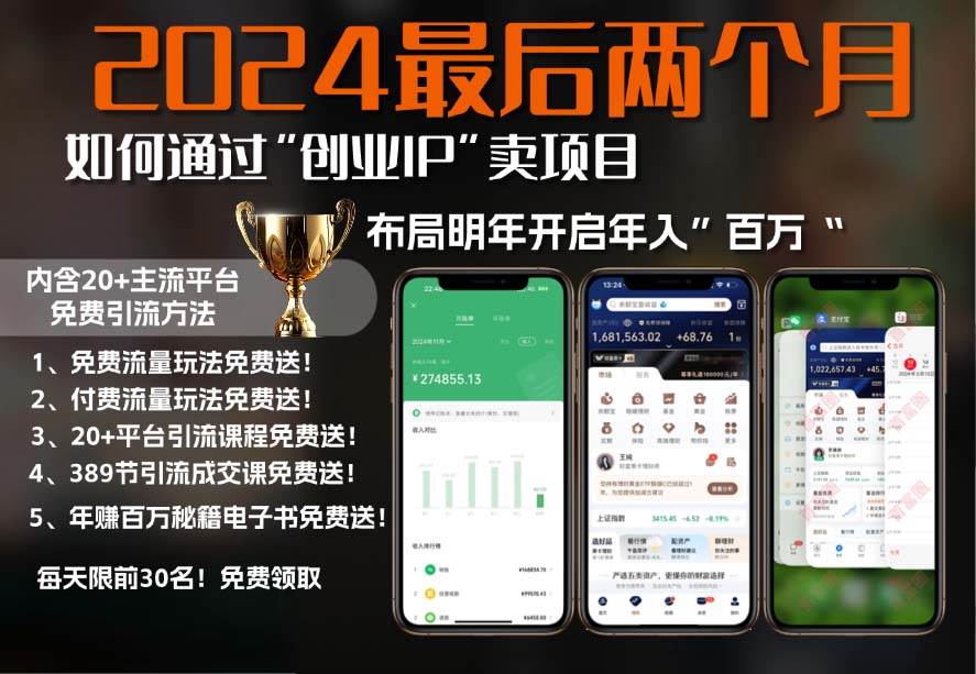 （13322期）2024最后两个月如何通过”创业IP“卖项目年入”百万“,创业IP+最强引流…-玖哥网创
