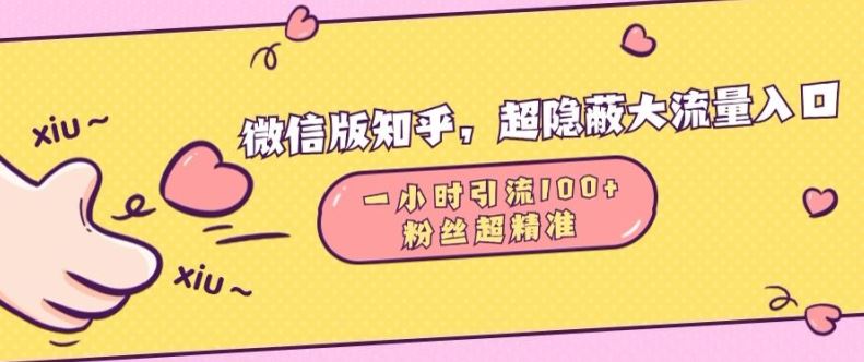 微信版知乎，超隐蔽流量入口1小时引流100人，粉丝质量超高【揭秘】-玖哥网创