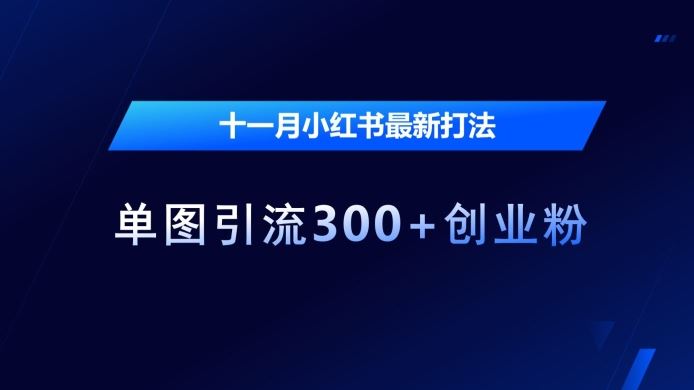 十一月小红书最新打法，单图引流300+创业粉【揭秘】-玖哥网创
