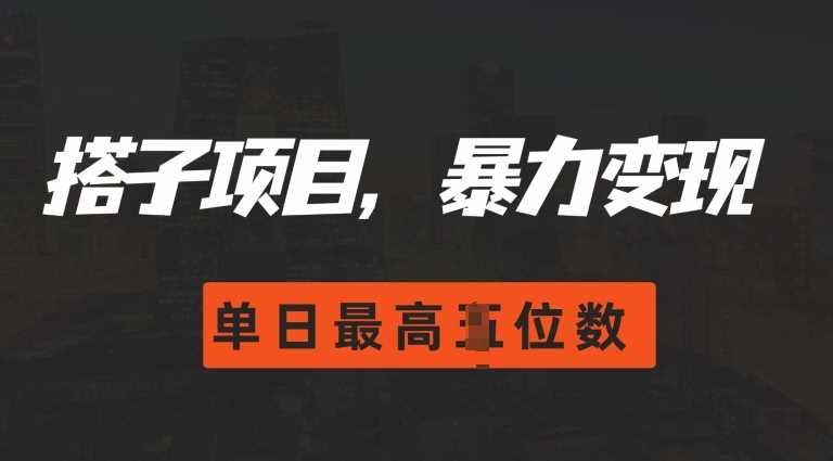 2024搭子玩法，0门槛，暴力变现，单日最高破四位数【揭秘】-玖哥网创