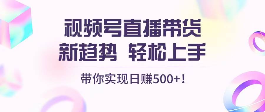 （13370期）视频号直播带货新趋势，轻松上手，带你实现日赚500+-玖哥网创