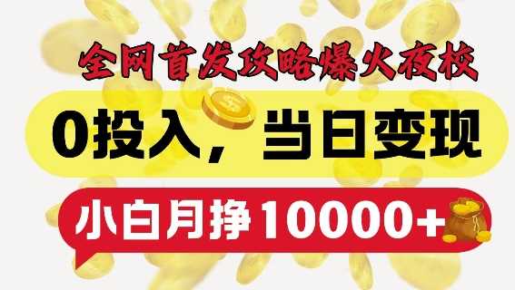 全网首发爆火夜校，0投入，当日变现，小白轻松月入1w+【揭秘】-玖哥网创