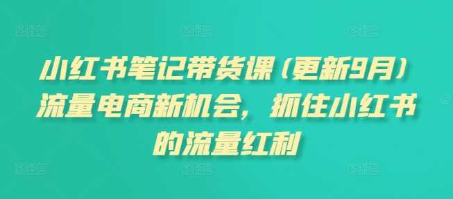 小红书笔记带货课(更新11月)流量电商新机会，抓住小红书的流量红利-玖哥网创