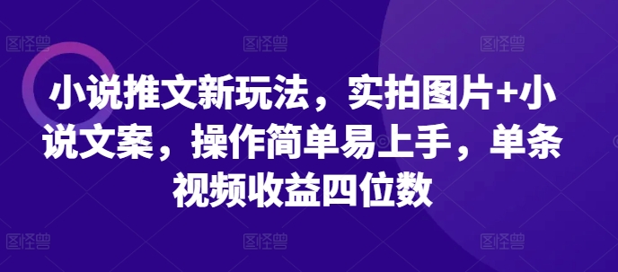 小说推文新玩法，实拍图片+小说文案，操作简单易上手，单条视频收益四位数-玖哥网创