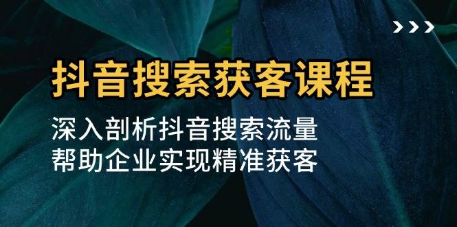 抖音搜索获客课程：深入剖析抖音搜索流量，帮助企业实现精准获客-玖哥网创