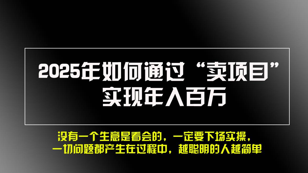 （13468期）2025年如何通过“卖项目”实现年入百万，做网赚必看！！-玖哥网创