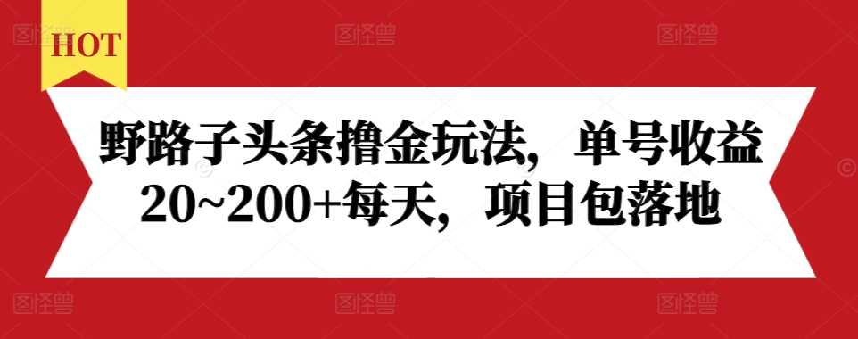 野路子头条撸金玩法，单号收益20~200+每天，项目包落地-玖哥网创