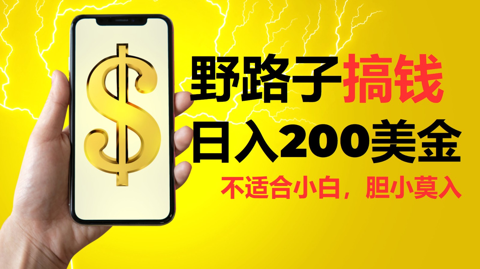 挂机野路子搞钱，日入200美金，路子很野，小白莫入-玖哥网创