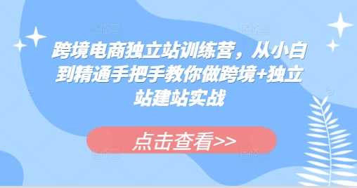 跨境电商独立站训练营，从小白到精通手把手教你做跨境+独立站建站实战-玖哥网创