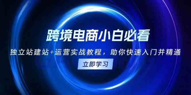 跨境电商小白必看！独立站建站+运营实战教程，助你快速入门并精通-玖哥网创