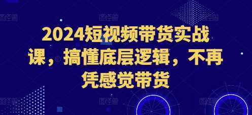 2024短视频带货实战课，搞懂底层逻辑，不再凭感觉带货-玖哥网创