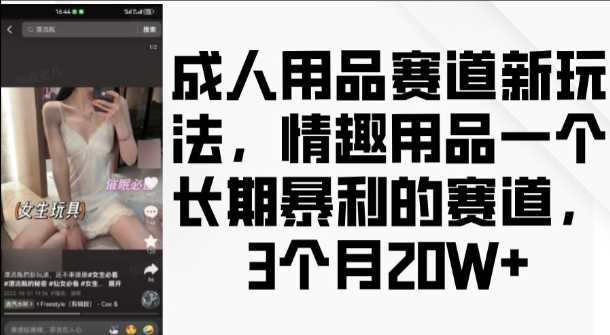 成人用品赛道新玩法，情趣用品一个长期暴利的赛道，3个月收益20个【揭秘】-玖哥网创