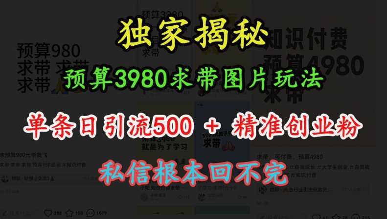 预算3980求带 图片玩法，单条日引流500+精准创业粉，私信根本回不完-玖哥网创
