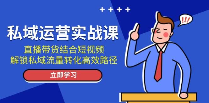 （13587期）私域运营实战课：直播带货结合短视频，解锁私域流量转化高效路径-玖哥网创