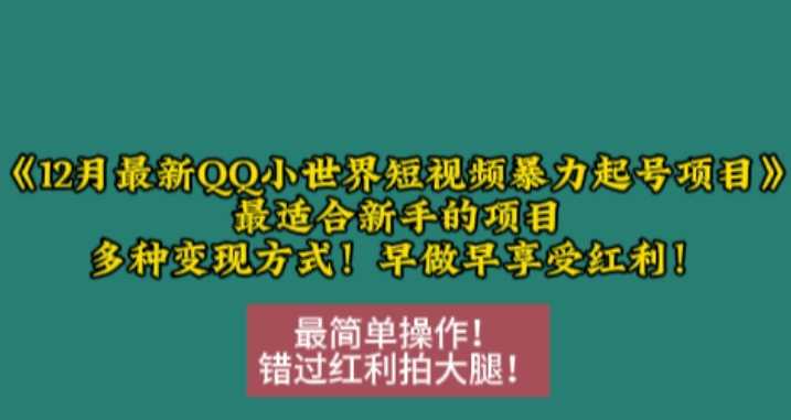 12月最新QQ小世界短视频暴力起号项目，最适合新手的项目，多种变现方式-玖哥网创