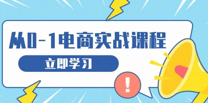 （13594期）从零做电商实战课程，教你如何获取访客、选品布局，搭建基础运营团队-玖哥网创