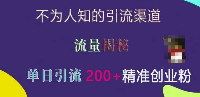不为人知的引流渠道，流量揭秘，实测单日引流200+精准创业粉【揭秘】-玖哥网创