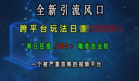 全新引流风口，跨平台玩法日入上k，单日狂揽200+精准创业粉，一个被严重忽略的视频平台-玖哥网创