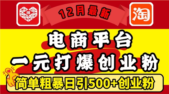 12月最新：电商平台1元打爆创业粉，简单粗暴日引500+精准创业粉，轻松月入过W【揭秘】-玖哥网创