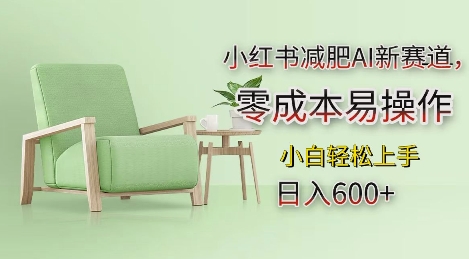 小红书减肥AI新赛道，零成本易操作，日入多张，小白轻松上手【揭秘】-玖哥网创