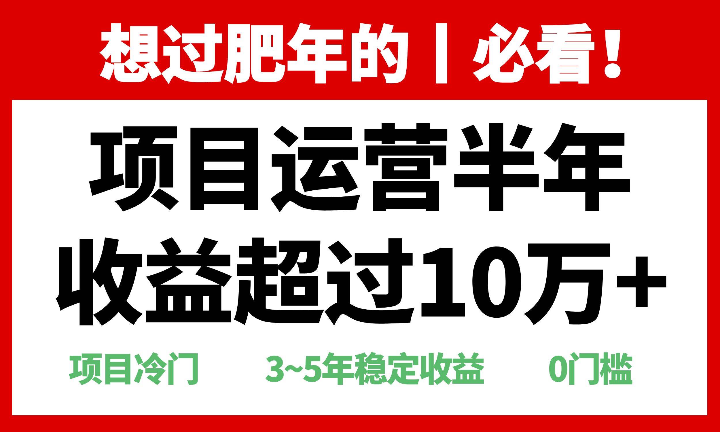 （13663期）年前过肥年的必看的超冷门项目，半年收益超过10万+，-玖哥网创