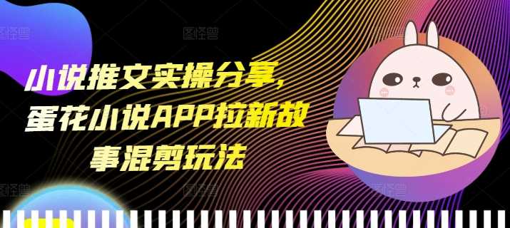 小说推文实操分享，蛋花小说APP拉新故事混剪玩法-玖哥网创