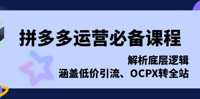 （13700期）拼多多运营必备课程，解析底层逻辑，涵盖低价引流、OCPX转全站-玖哥网创