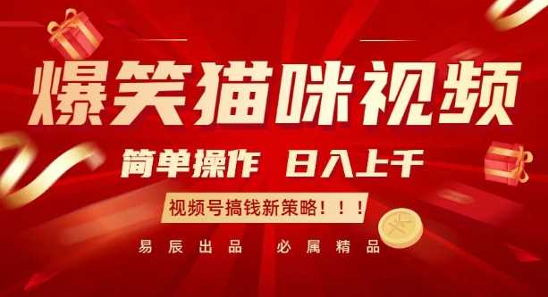 爆笑猫咪视频：简单操作，日入过K，视频号搞钱新策略【揭秘】-玖哥网创