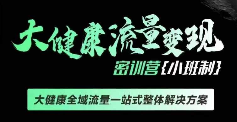 千万级大健康变现课线下课，大健康全域流量一站式整体解决方案-玖哥网创