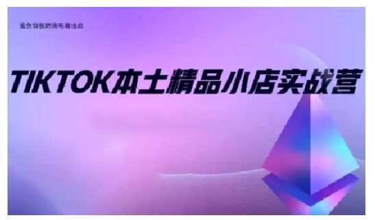 TikTok本土精品小店出海实战营，从入门到高阶，不止0-1!-玖哥网创