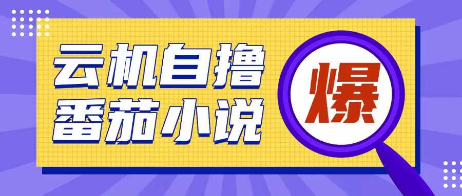 首发云手机自撸小说玩法，10块钱成本可撸200+收益操作简单【揭秘】-玖哥网创