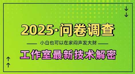 2025问卷调查最新工作室技术解密：一个人在家也可以闷声发大财，小白一天2张，可矩阵放大【揭秘】-玖哥网创