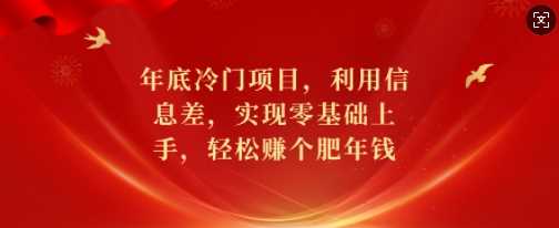 年底冷门项目，利用信息差，实现零基础上手，轻松赚个肥年钱【揭秘】-玖哥网创