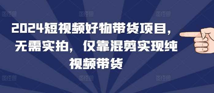 2024短视频好物带货项目，无需实拍，仅靠混剪实现纯视频带货-玖哥网创