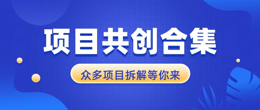 （13778期）项目共创合集，从0-1全过程拆解，让你迅速找到适合自已的项目-玖哥网创
