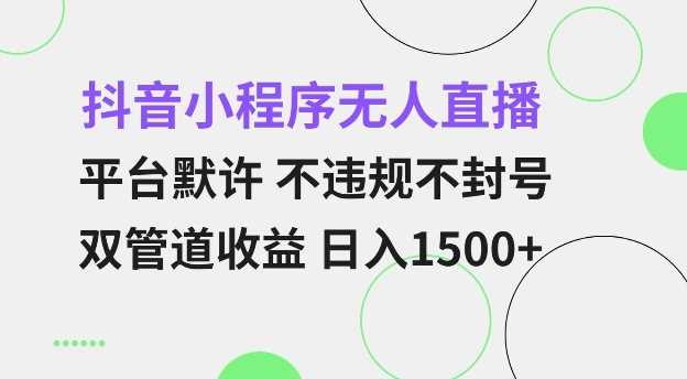 抖音小程序无人直播 平台默许 不违规不封号 双管道收益 日入多张 小白也能轻松操作【仅揭秘】-玖哥网创