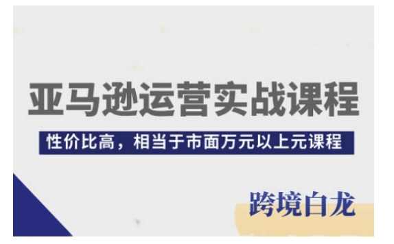 亚马逊运营实战课程，亚马逊从入门到精通，性价比高，相当于市面万元以上元课程-玖哥网创