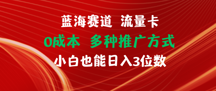 【站长实操】蓝海赛道 流量卡 0成本 小白也能日入三位数-玖哥网创