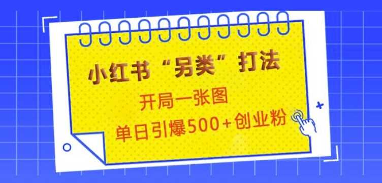 小红书“另类”打法，开局一张图，单日引爆500+精准创业粉【揭秘】-玖哥网创