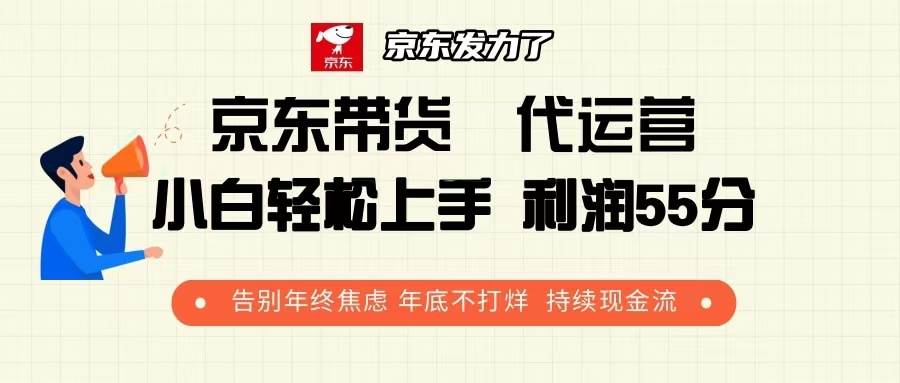（13833期）京东带货 代运营 利润55分 告别年终焦虑 年底不打烊 持续现金流-玖哥网创