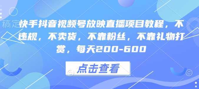 快手抖音视频号放映直播项目教程，不违规，不卖货，不靠粉丝，不靠礼物打赏，每天200-600-玖哥网创
