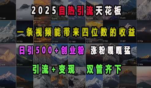 2025自热引流天花板，一条视频能带来四位数的收益，引流+变现双管齐下，日引500+创业粉，涨粉嘎嘎猛-玖哥网创