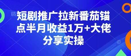 短剧推广拉新番茄锚点半月收益1万+大佬分享实操-玖哥网创