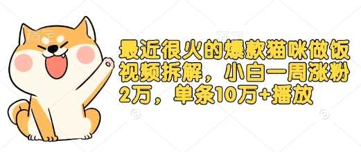 最近很火的爆款猫咪做饭视频拆解，小白一周涨粉2万，单条10万+播放(附保姆级教程)-玖哥网创