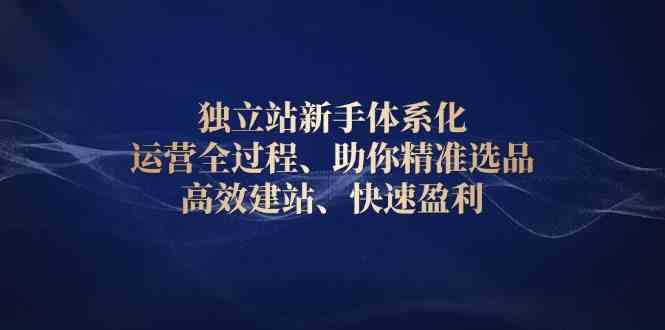 独立站新手体系化 运营全过程，助你精准选品、高效建站、快速盈利-玖哥网创