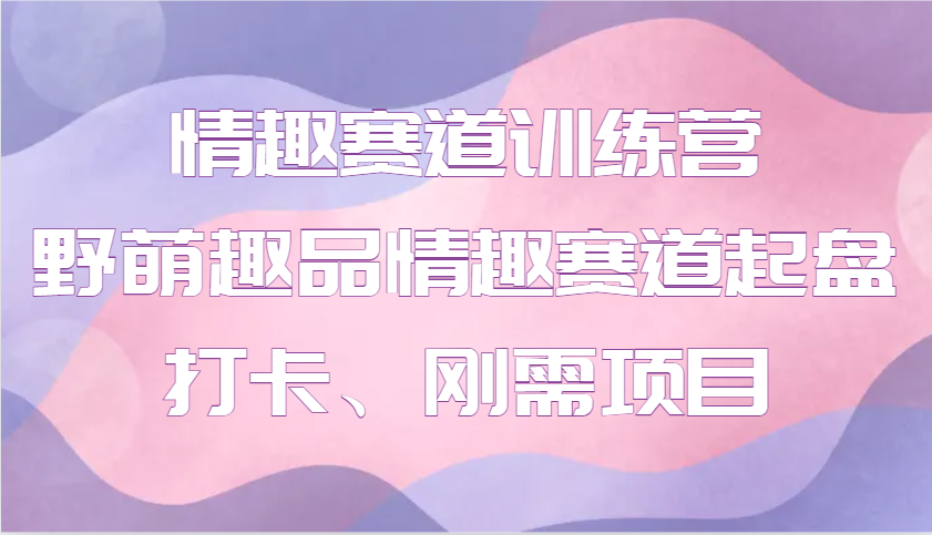 情趣赛道训练营 野萌趣品情趣赛道起盘打卡、刚需项目-玖哥网创