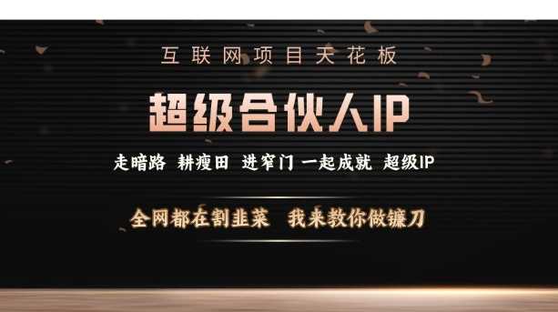 互联网项目天花板，超级合伙人IP，全网都在割韭菜，我来教你做镰刀【仅揭秘】-玖哥网创