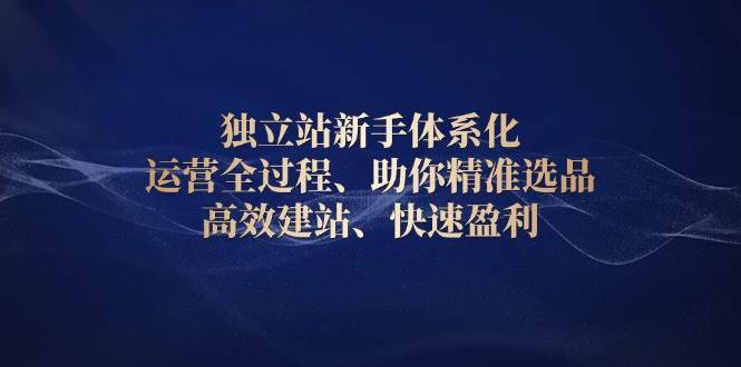 （13914期）独立站新手体系化 运营全过程，助你精准选品、高效建站、快速盈利-玖哥网创