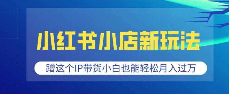 小红书小店新玩法，蹭这个IP带货，小白也能轻松月入过W【揭秘】-玖哥网创